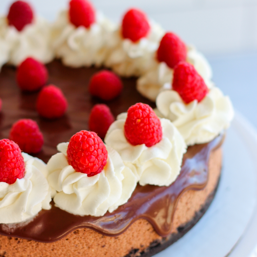 Cheesecake top jordan 9s